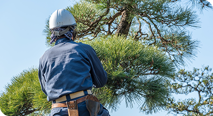 植忠造園の魅力